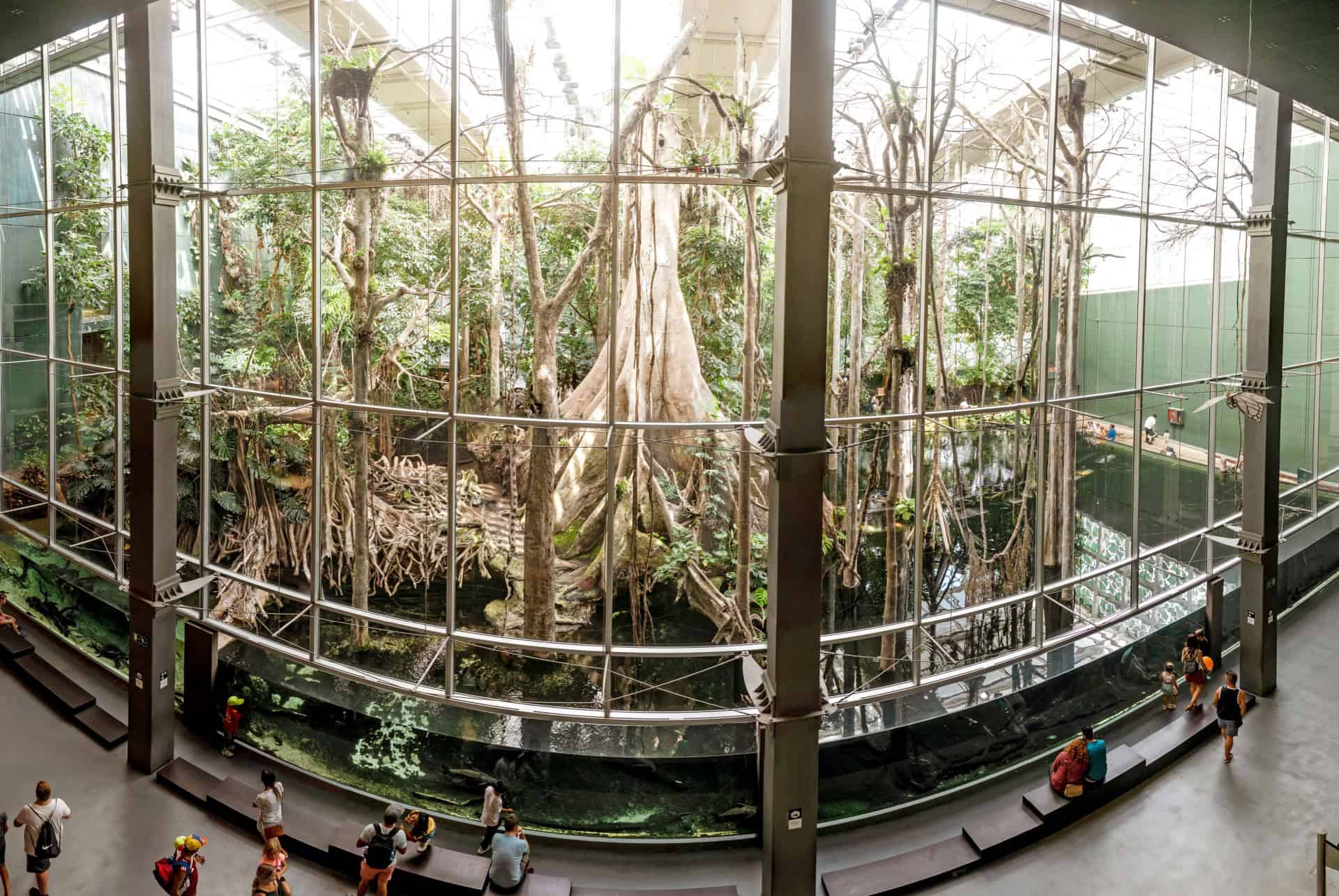 cosmocaixa