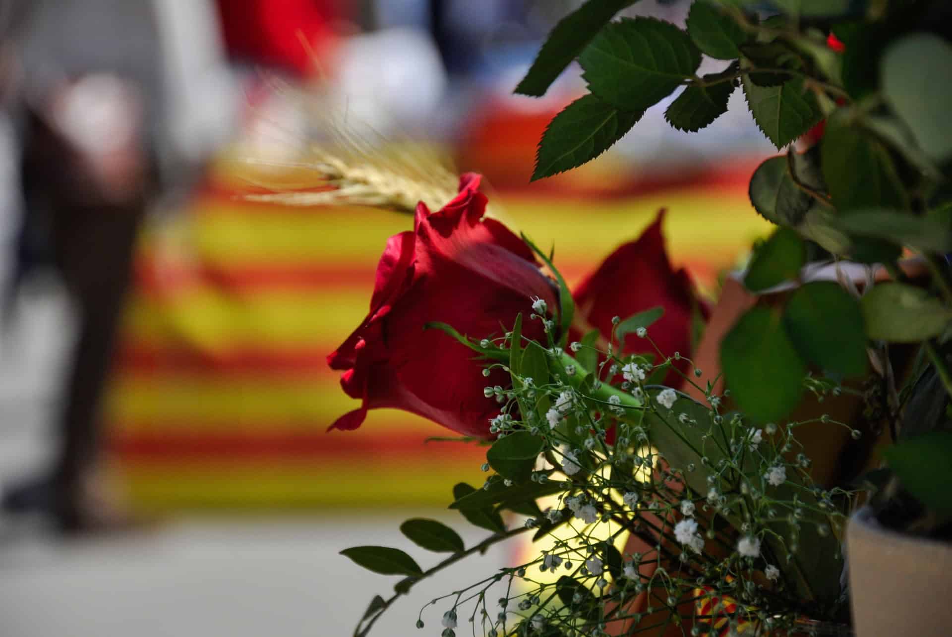 sant jordi barcelone
