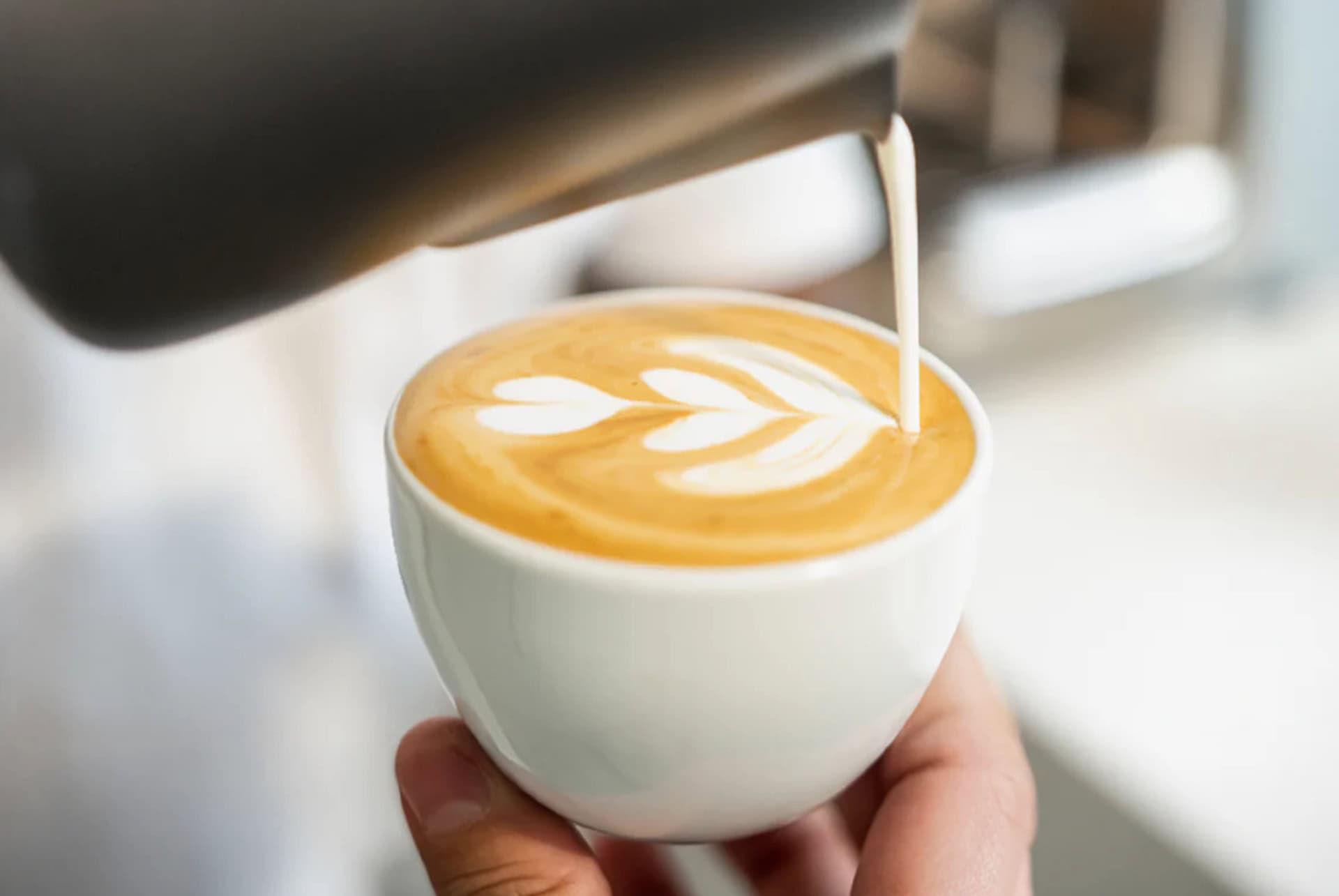 d origen coffee