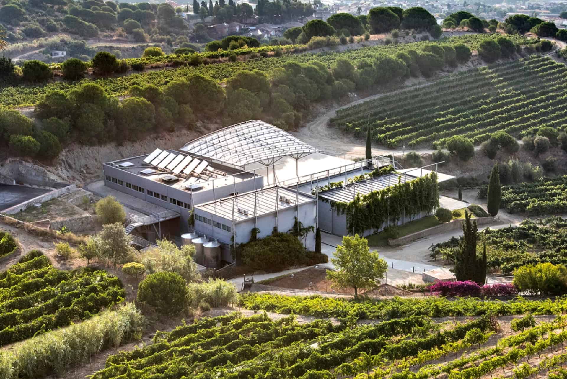 domaine alta alella