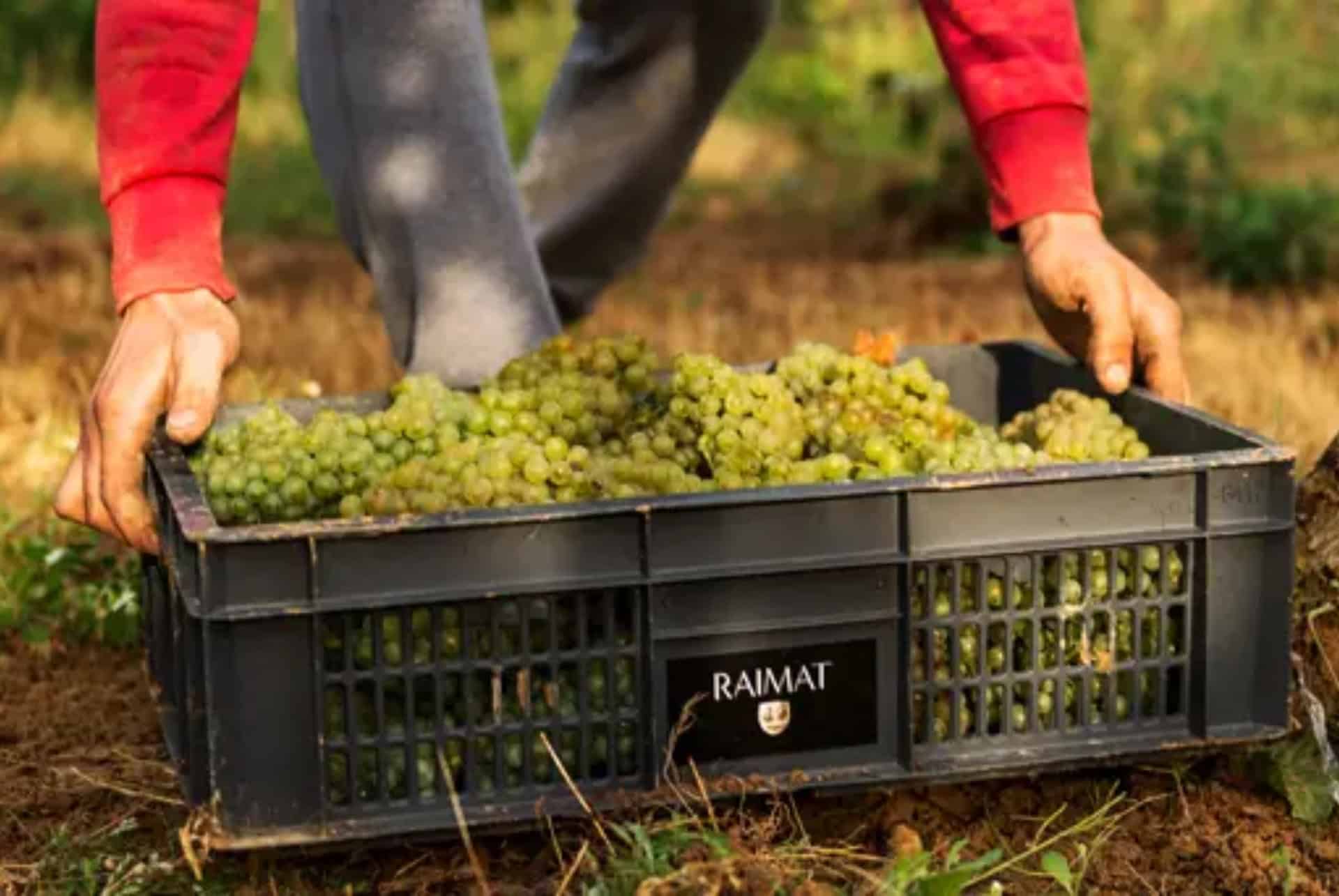 domaine raimat