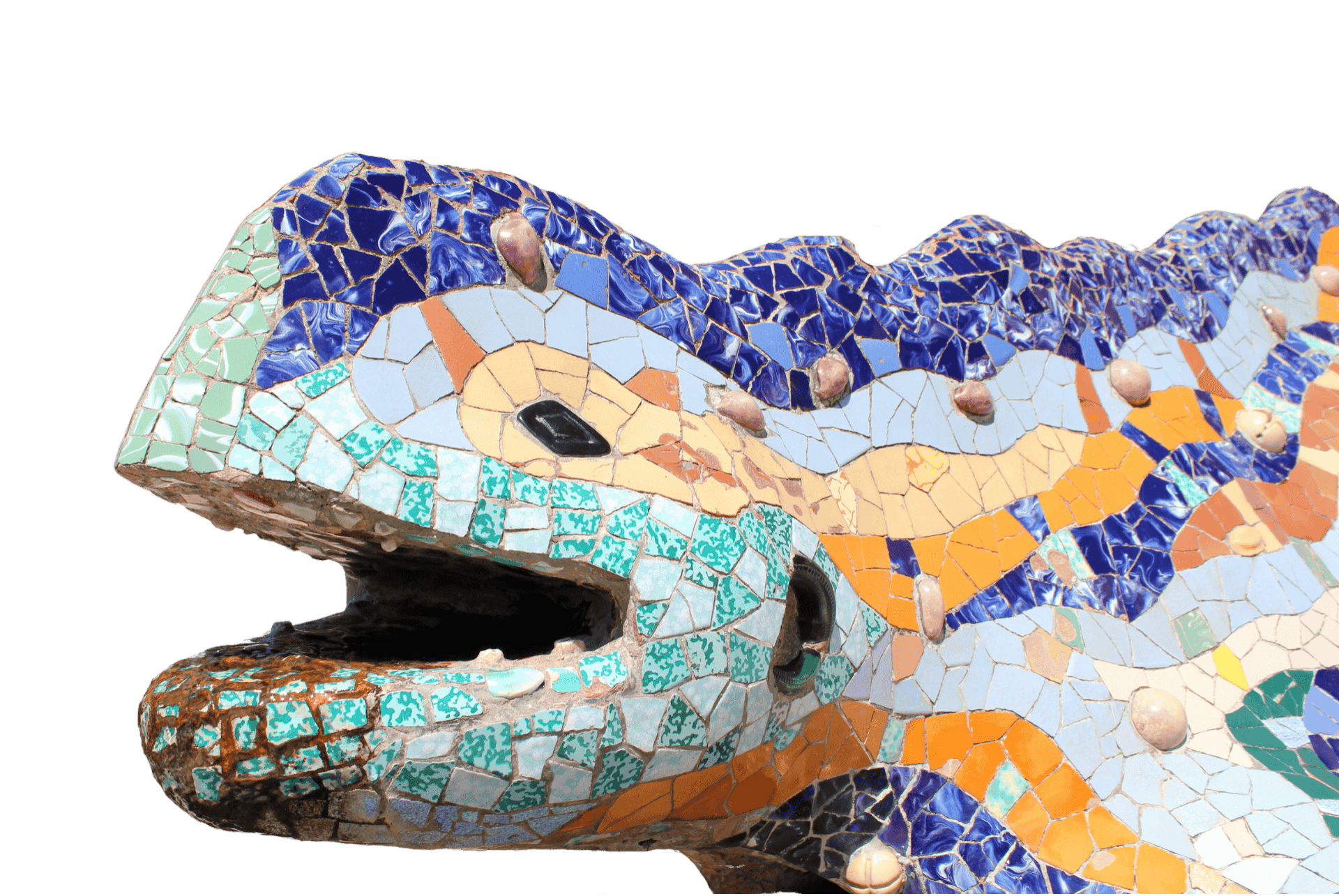 lezard parc guell lezard parc guell