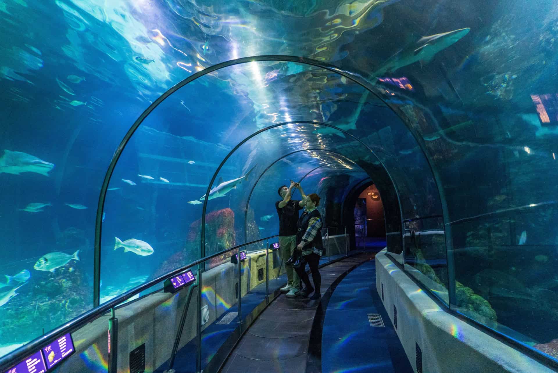 aquarium barcelone