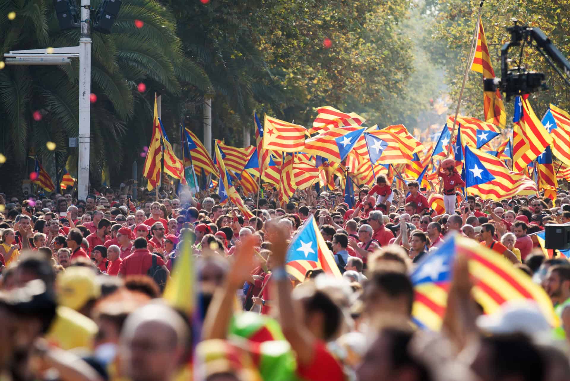 Diada de Catalunya