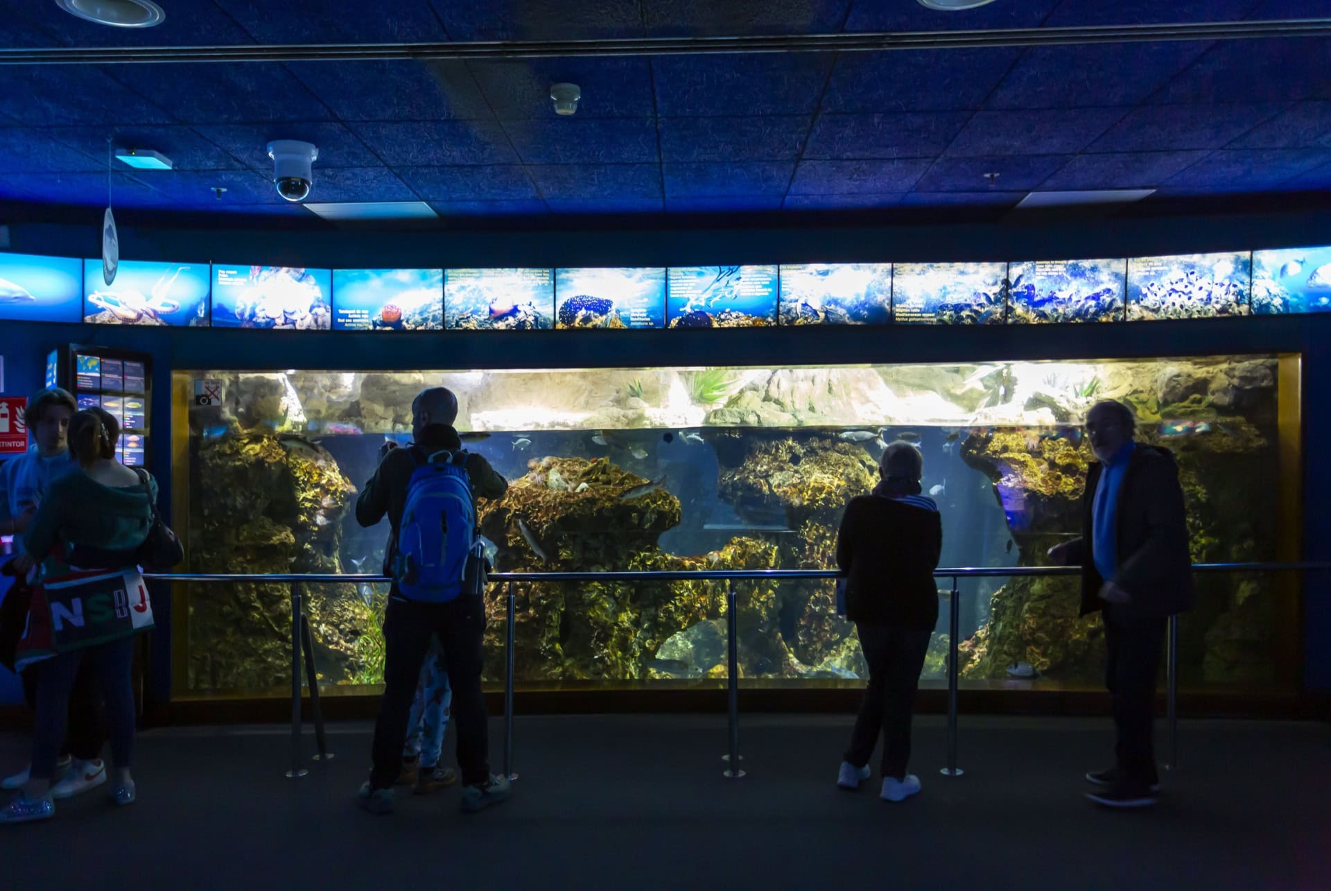 activite aquarium a barcelone
