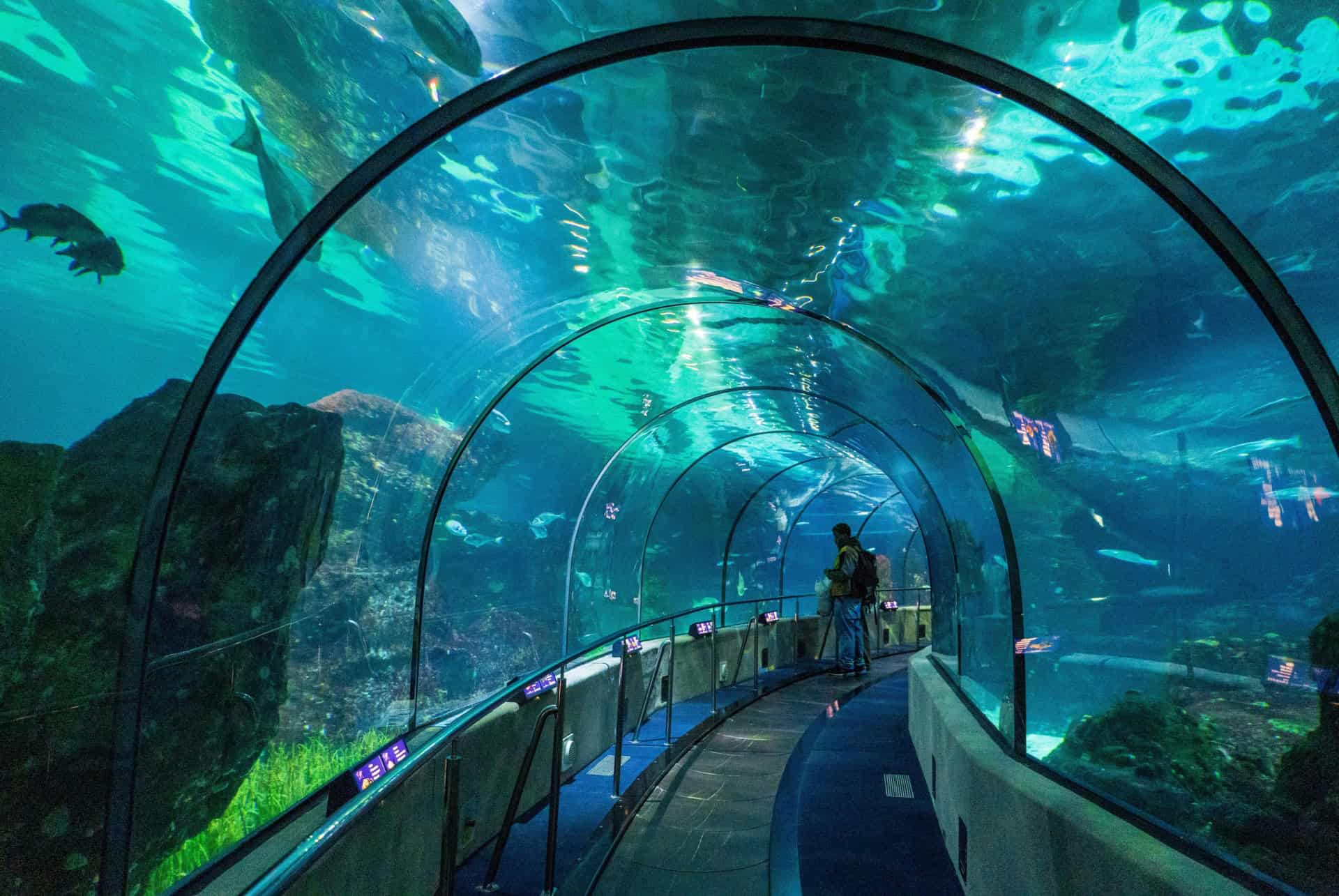 aquarium de barcelone