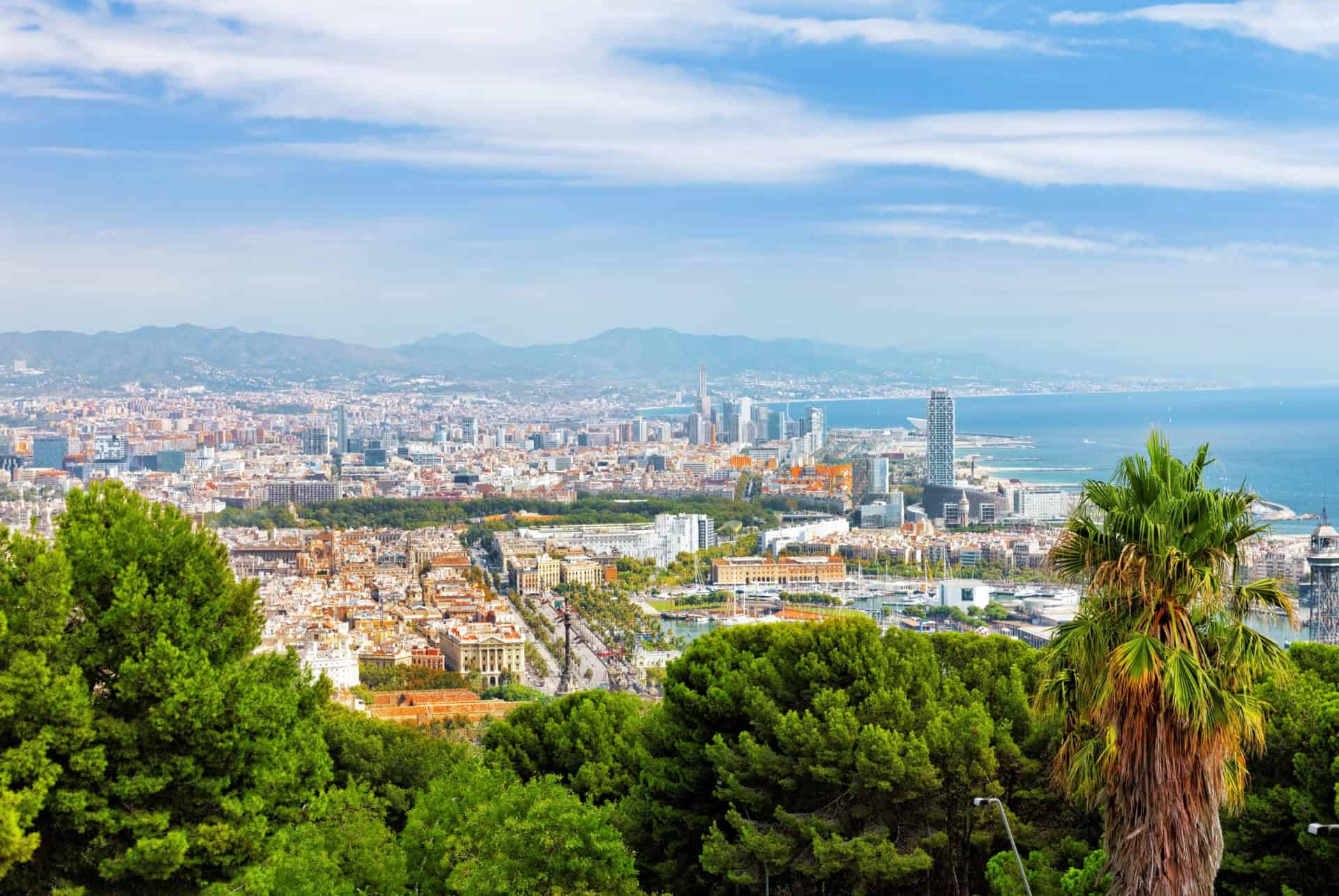 vue panoramique depuis montjuic