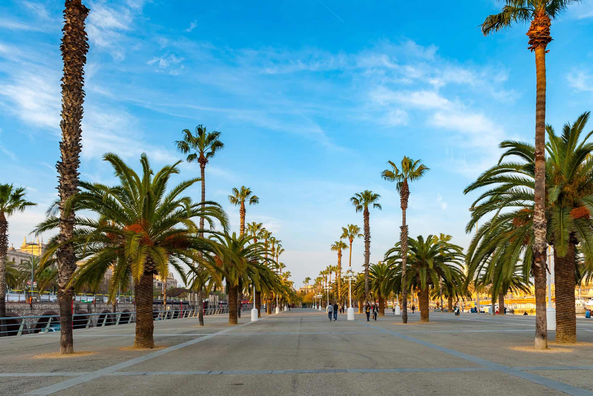 balade front de mer barcelone en fevrier balade front de mer barcelone en fevrier
