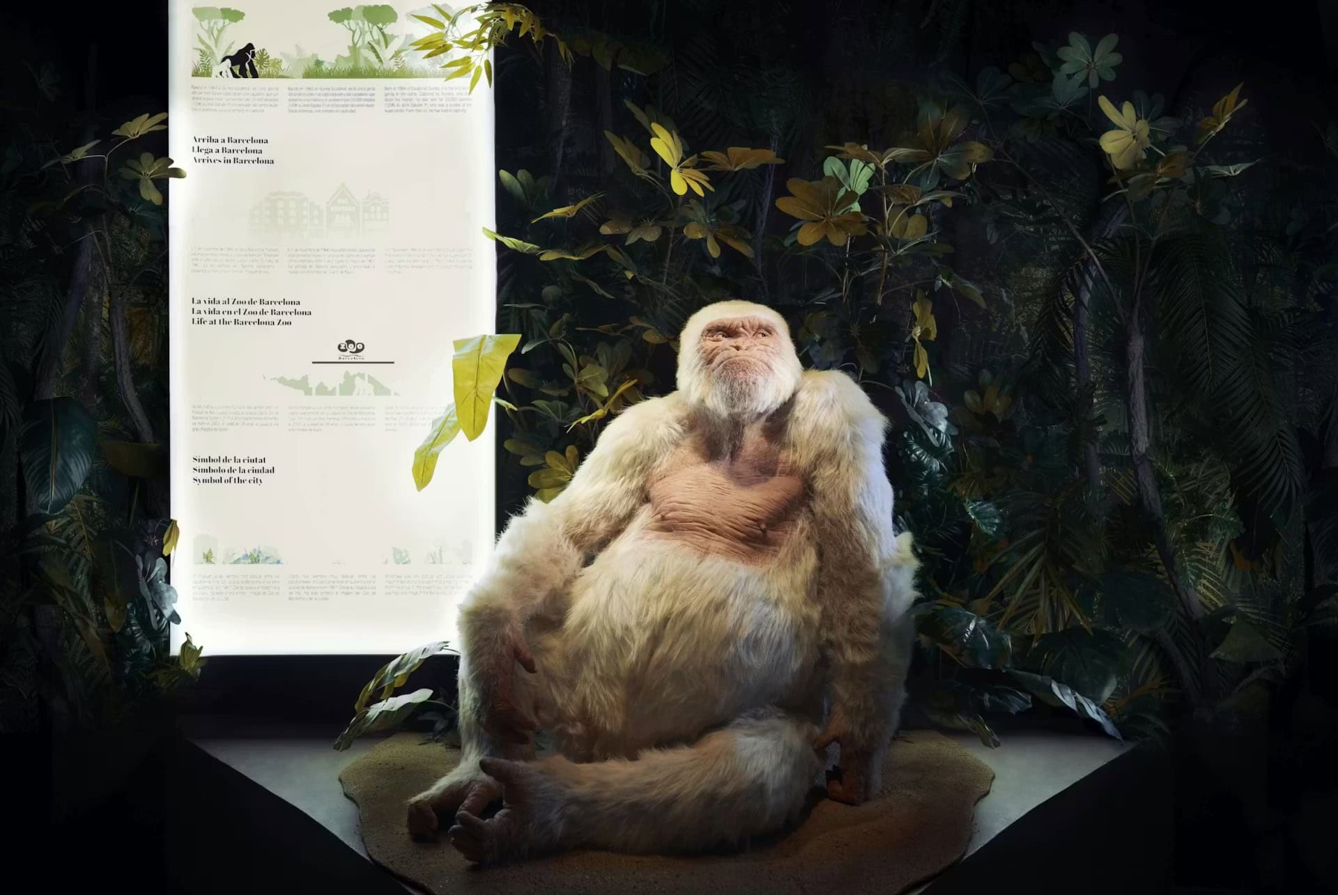 musee de cire singe musee de cire singe