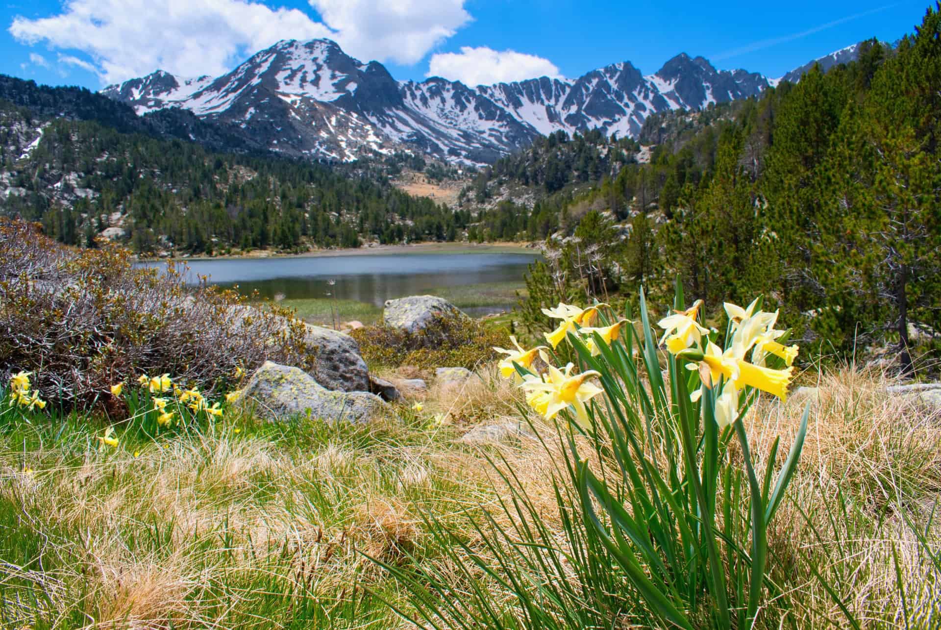 andorre montagnes